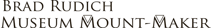 Brad Rudich, Museum mount-maker